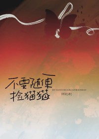 不要随便在路边捡猫猫